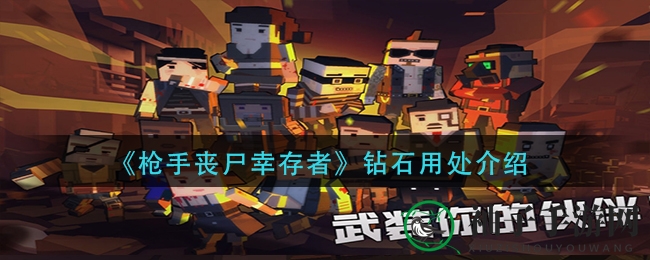 《枪手丧尸幸存者》钻石攻略：获取与用法详解