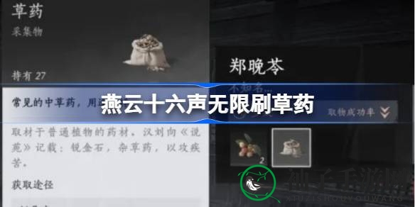 《燕云十六声》攻略：轻松无限刷草药，揭秘达安村偷药技巧