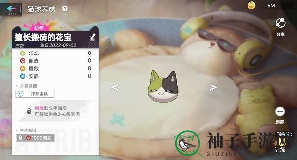 《猫之城》猫球挂件获取方法