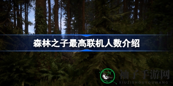 《森林之子》探险大揭秘：8人联机共筑家园，惊心动魄冒险之旅
