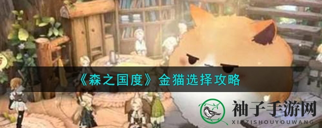 《森之国度》金猫选择攻略