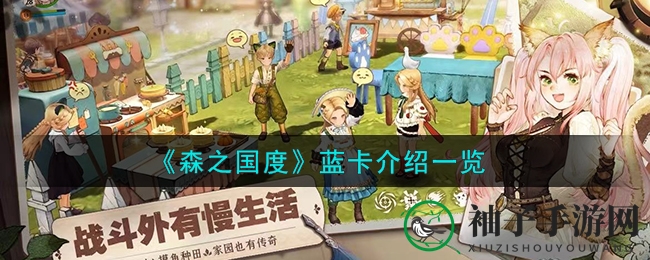 《森之国度》蓝卡攻略揭秘：装备猫灵实力解析