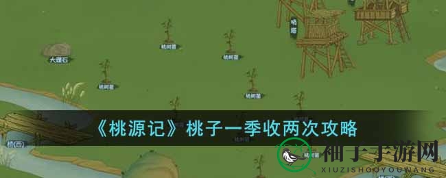 《桃源记》一季双收攻略：轻松致富，桃子金币滚滚来