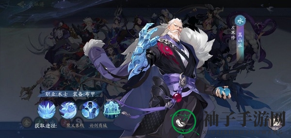 《武林闲侠》嵩山秘籍搭配推荐