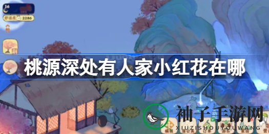 桃源秘境探花记：揭秘小红花藏匿之谜