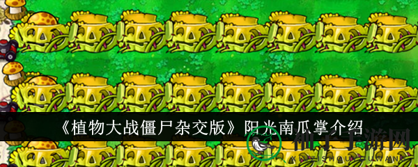 《植物大战僵尸杂交版》阳光南瓜掌详解