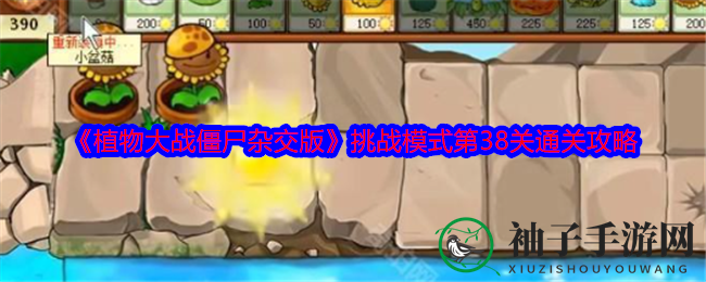《杂交版》第38关通关攻略：布局巧，阳光足，僵尸拜拜！