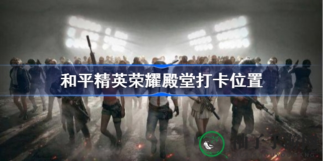 揭秘和平精英荣耀殿堂：轻松打卡，成就电竞传奇之旅