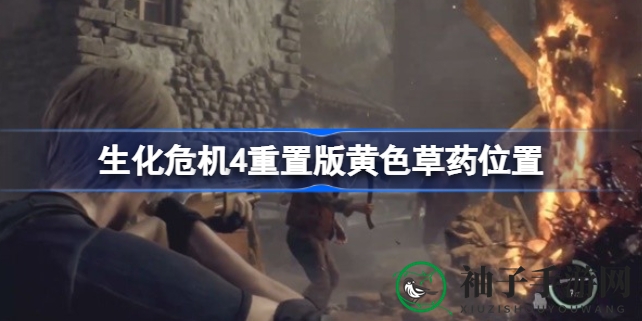 《生化危机4》重置版：揭秘黄色草药的神秘藏匿之旅