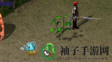 《王者传奇》苍月岛种植攻略