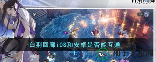 《白荆回廊》全平台互通解析：iOS安卓PC三端畅玩攻略
