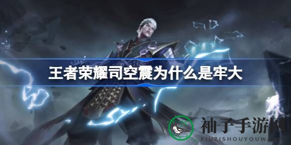 《王者荣耀》司空震“牢大”称号揭秘：飞鹰坠落背后的网络流行语