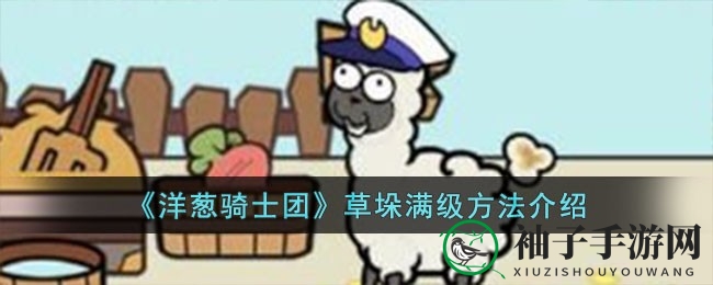 《洋葱骑士团》草垛升级秘籍：解锁99级巅峰状态