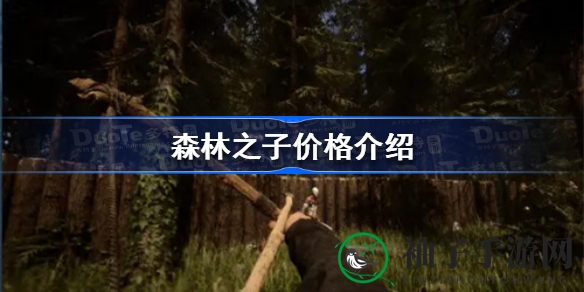 揭秘《森林之子》惊悚之旅定价之谜，价格波动间探寻市场心跳