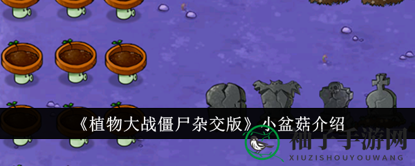 植物大战僵尸新宠：花盆蘑菇小盆菇大揭秘