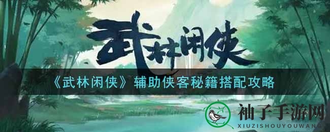 《武林闲侠》辅助侠客秘籍搭配攻略