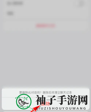 《皮皮陪玩》清除聊天记录确认操作