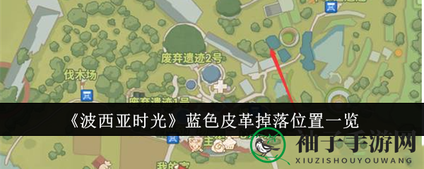 《波西亚时光》揭秘：探寻蓝色皮革的秘密与获取攻略