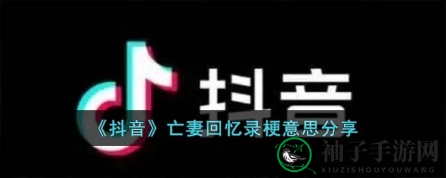 抖音热梗揭秘：缅怀亡妻回忆录，深情演绎情感共鸣之旅
