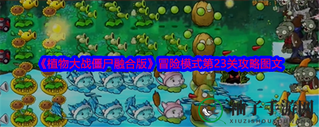 《植物大战僵尸融合版》第23关攻略：泳池防线全解析，植物策略制胜