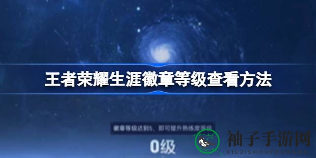 《王者荣耀》生涯徽章等级查看攻略大揭秘，轻松一瞥尊贵等级