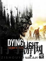 消逝的光芒 增强版
