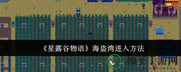 《星露谷物语》海盗湾揭秘：解锁神秘钥匙，探索未知岛屿