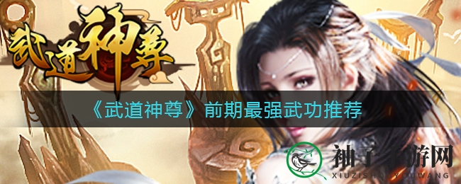 《武道神尊》秘籍攻略：新手必看，武功秘籍大揭秘！