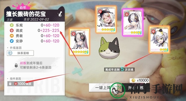 《猫之城》猫球挂件获取方法