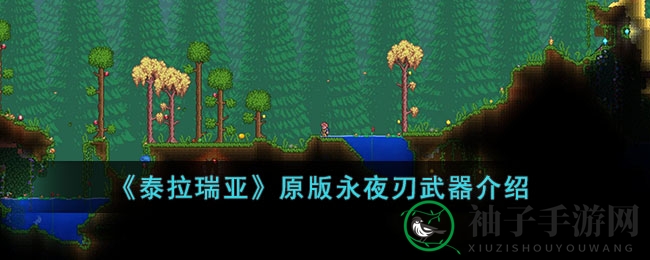 《泰拉瑞亚》原版永夜刃武器详解