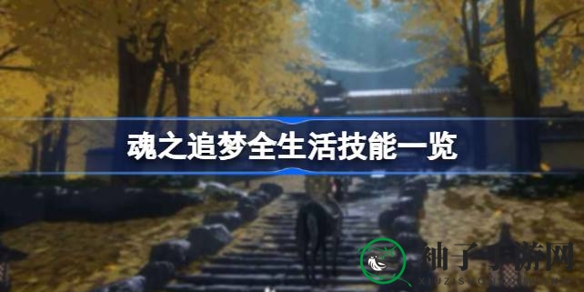 魂之追梦：解锁多元生活技能，畅游奇幻世界