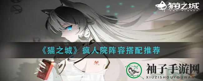 《猫之城》疯人院阵容搭配攻略：揭秘五大流派，轻松驾驭游戏畅游无阻