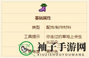 《泰拉瑞亚》花靴配饰介绍