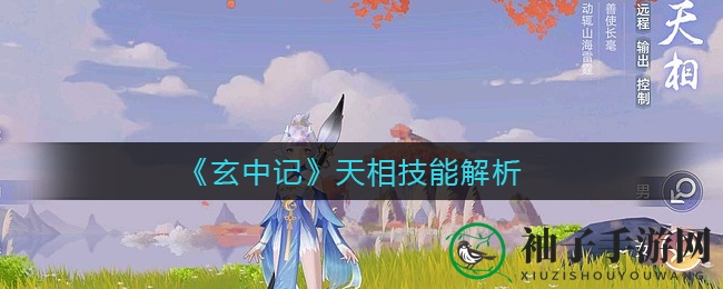《玄中记》揭秘：远程输出大师天相技能全解析，掌握战斗奥义