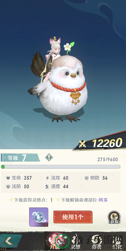 《桃花师》骑宠养成攻略