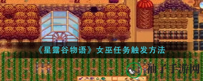 《星露谷物语》女巫任务触发方法
