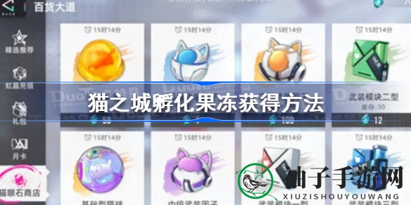 《猫之城》揭秘：孵化果冻获取秘籍，培育心爱猫咪必备攻略