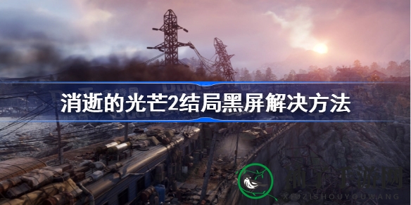 《消逝光芒2》结局黑屏解决攻略：耐心等待破解无解困境