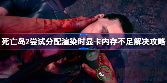 《死亡岛2》显卡内存不足？教你一招轻松解决，告别游戏卡顿尴尬！