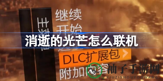 消逝光芒联机攻略：轻松组队，共战丧尸，开启多人游戏之旅