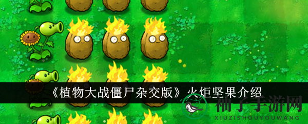 《植物大战僵尸杂交版》神秘英雄火炬坚果：攻防兼备，烟花之下的独特魅力揭晓