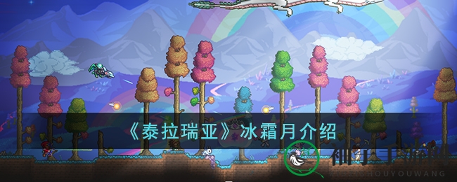 揭开《泰拉瑞亚》冰霜月狂欢秘境，畅享奇幻圣诞庆典