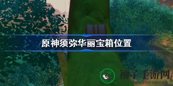 原神须弥新区域宝箱攻略：华丽藏匿之地揭秘