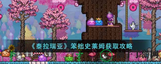 《泰拉瑞亚》呆萌史莱姆捕捉指南