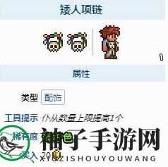 《泰拉瑞亚》召唤师毕业饰品攻略
