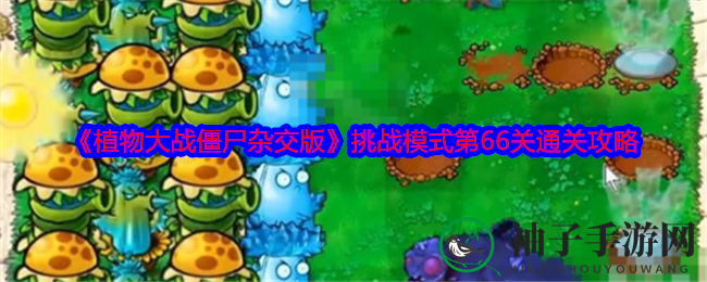 《植物大战僵尸杂交版》挑战第66关攻略：秘籍揭秘，轻松通关！