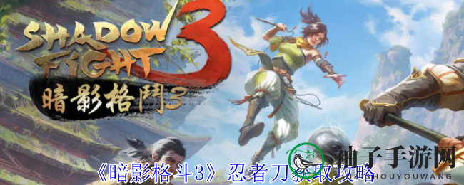 《暗影格斗3》忍者刀攻略：获取秘籍与玩法解析