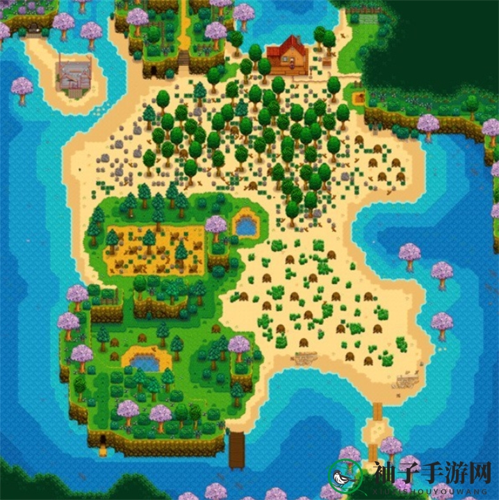 《星露谷物语》沙滩农场功能揭秘