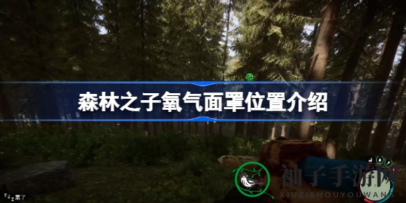 荒岛求生新秘境，《森林之子》氧气面罩藏身之谜揭晓