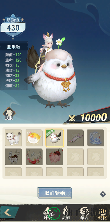 《桃花师》骑宠养成攻略